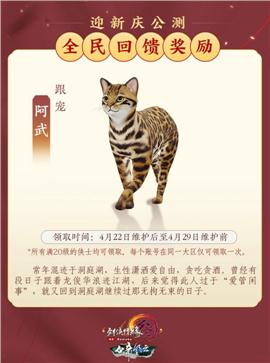 天龙八部3私服 tuoji